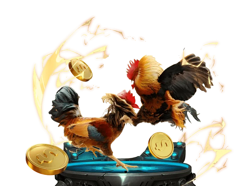 Tính năng xem trực tiếp đá gà